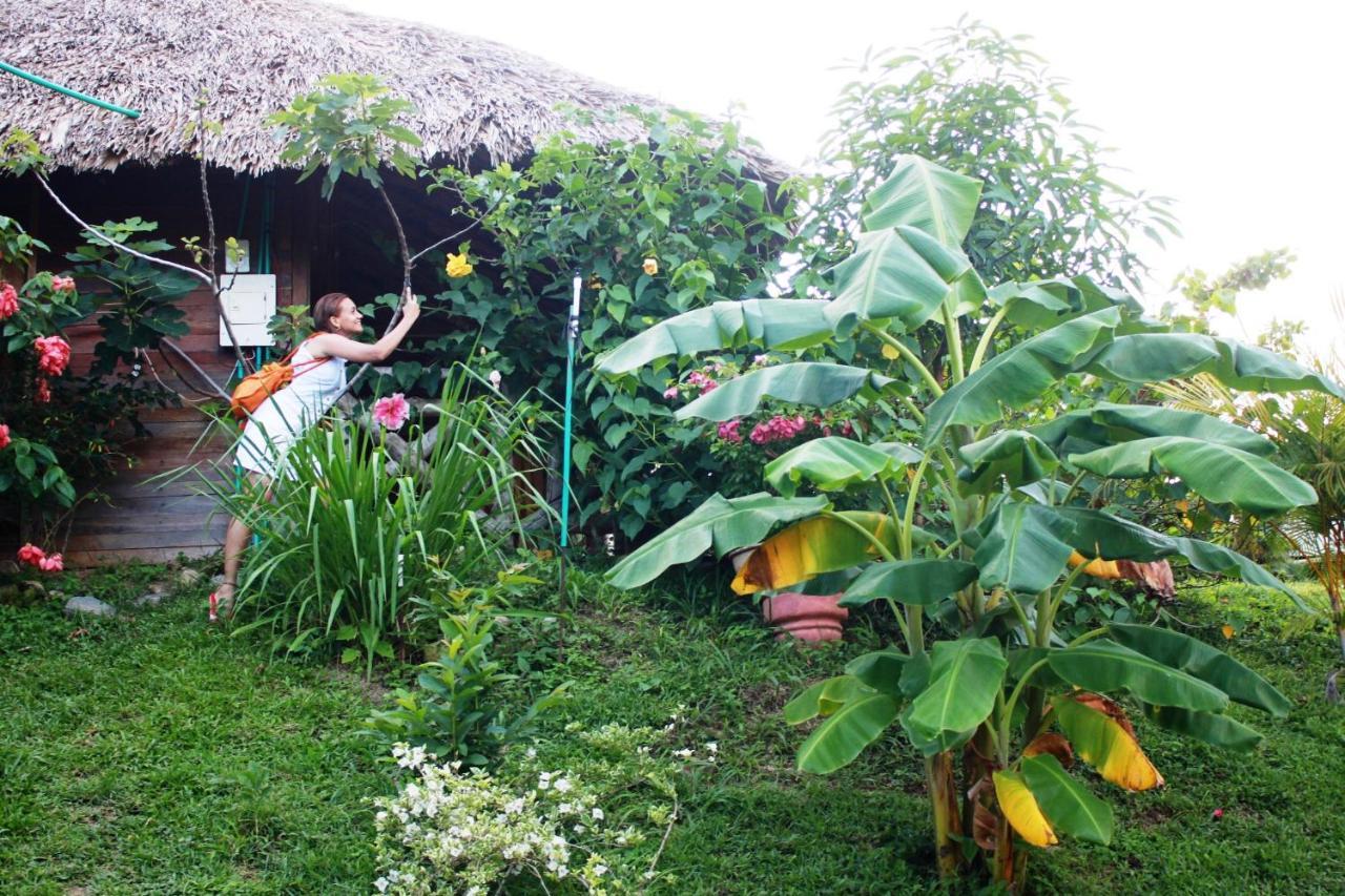 הוילה סנטה מרתה Cabanas Ecoturisticas Y Club Gaira Tayrona מראה חיצוני תמונה