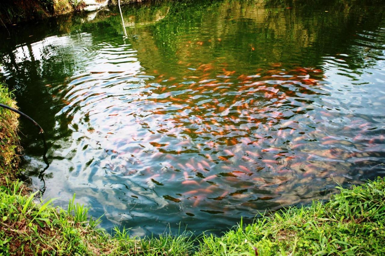 הוילה סנטה מרתה Cabanas Ecoturisticas Y Club Gaira Tayrona מראה חיצוני תמונה